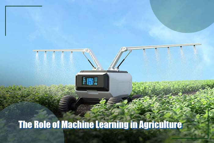 The Role of Machine Learning in Agriculture