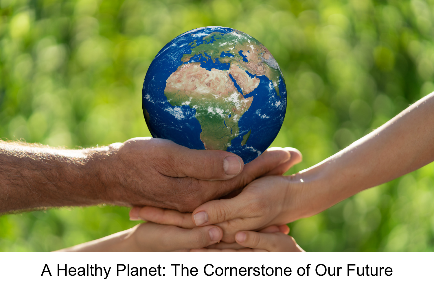 A Healthy Planet: The Cornerstone of Our Future