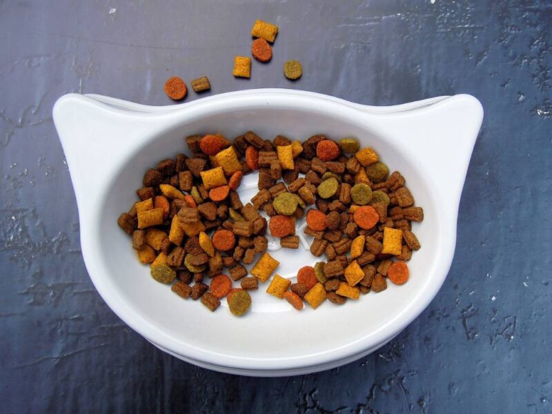 China Pet Food Market: Things to Consider